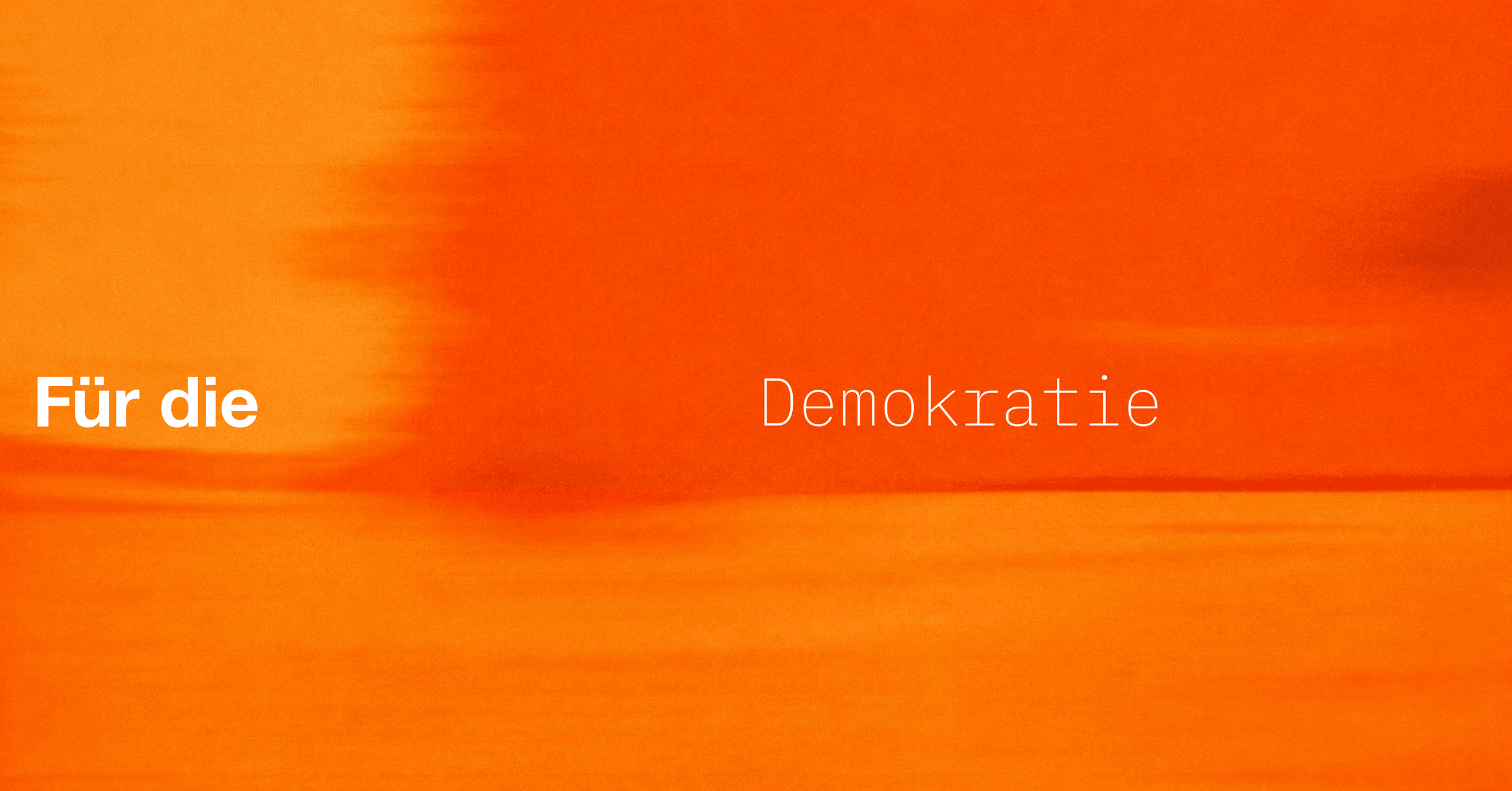 Freiwillige für Demokratie-Kampagne gesucht – kommt mit uns auf Tour! 