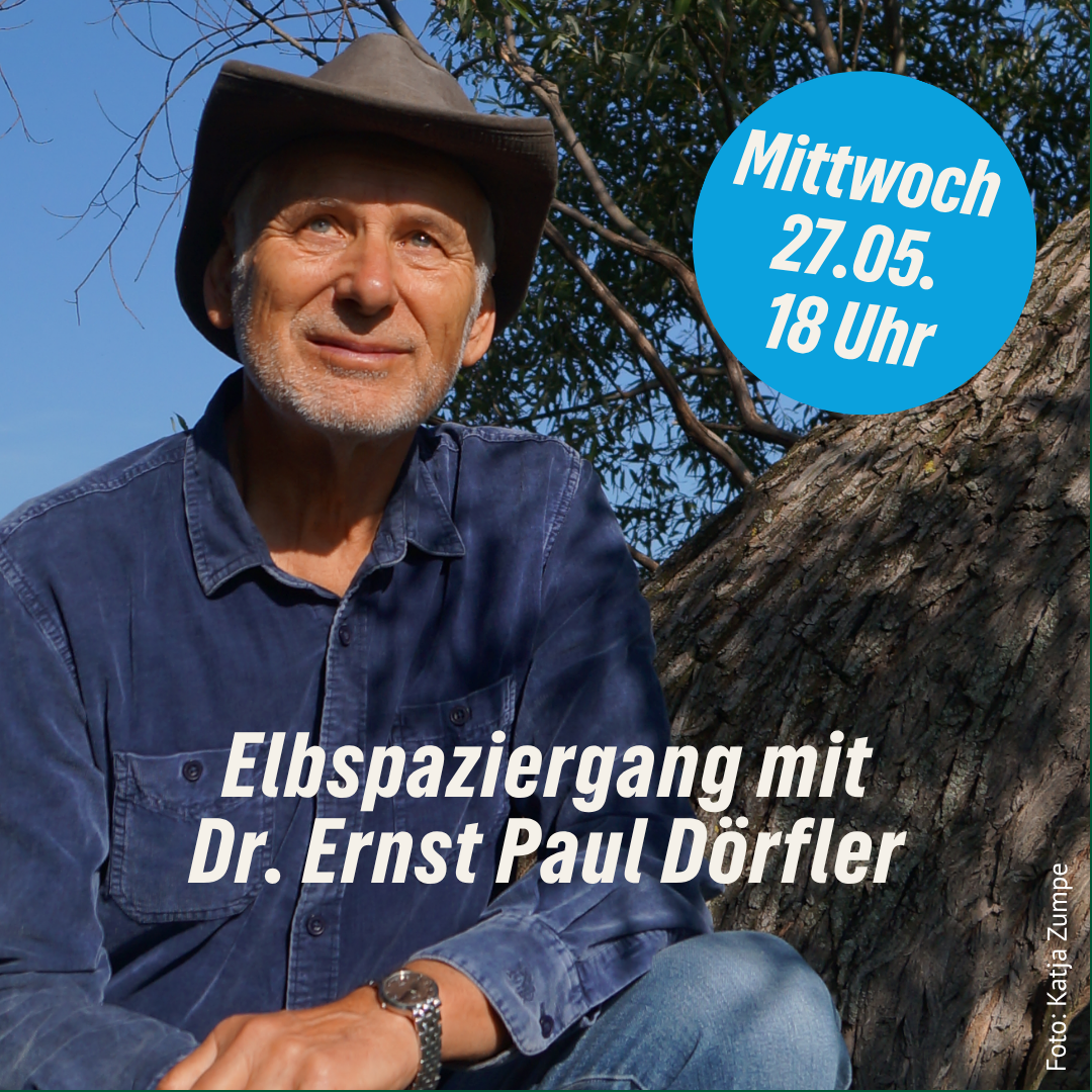„Aus dem Liebesleben von Kuckuck und Nachtigall“ – Elbspaziergang mit Dr. Ernst Paul Dörfler