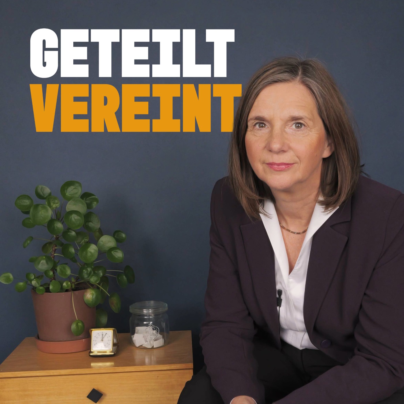 Geteilt vereint Logo